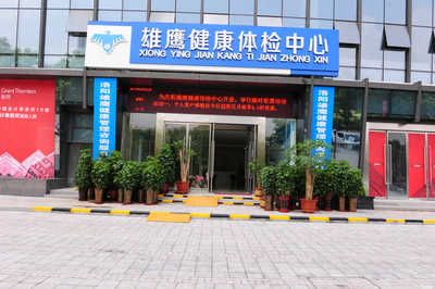 洛阳雄鹰健康管理咨询服务 专业健康咨询，助力品质生活